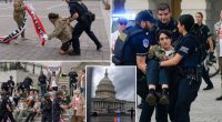 Capitol police arrest 60 veteran anti-ICE protesters breaching Capitol barricade