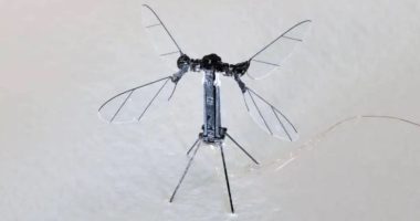 ROBO-STING China unveils tiny terrifying mosquito-sized drone to be used for spying & special missions as they sneak into homes,
