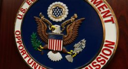 Civil rights agency's acting chief to face questions on anti-DEI, transgender stances