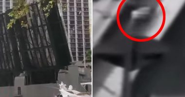 Crazed woman seriously injured in Miami drawbridge disaster