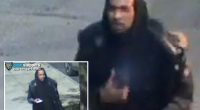 Creep molesting Queens women using juvenile spider trick: NYPD