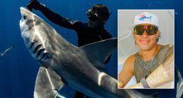 Diver who freed sharks gets Trump pardon after felony conviction stuns him: 'My heart sank'