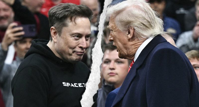 Elon Musk accuses Trump of driving America into 'debt slavery'