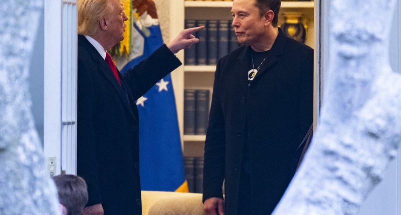 Elon Musk drops Epstein 'bomb' in worst slur yet against Trump