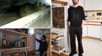 Fed-up NYC tenant creates 24/7 livestream of rats in his walls, what he sees has him losing sleep
