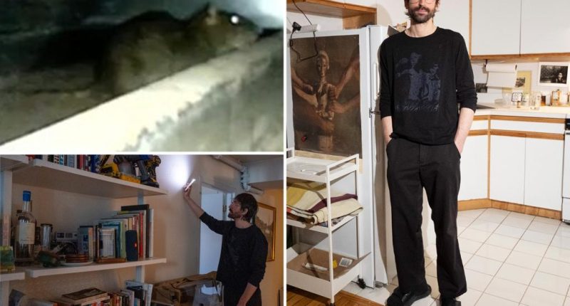 Fed-up NYC tenant creates 24/7 livestream of rats in his walls, what he sees has him losing sleep