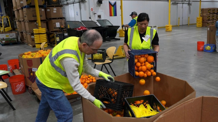 Federal food aid cuts will cause America’s hunger crisis to skyrocket