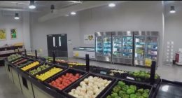 Feeding Tampa Bay’s ‘SNAP challenge’ highlights struggle of local families
