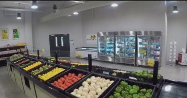 Feeding Tampa Bay’s ‘SNAP challenge’ highlights struggle of local families