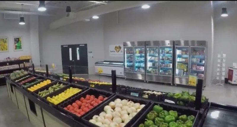 Feeding Tampa Bay’s ‘SNAP challenge’ highlights struggle of local families