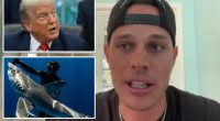 Florida-based diver Tanner Mansell was left 'speechless' after receiving surprise pardon from President Trump