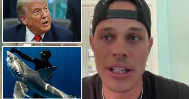 Florida-based diver Tanner Mansell was left 'speechless' after receiving surprise pardon from President Trump