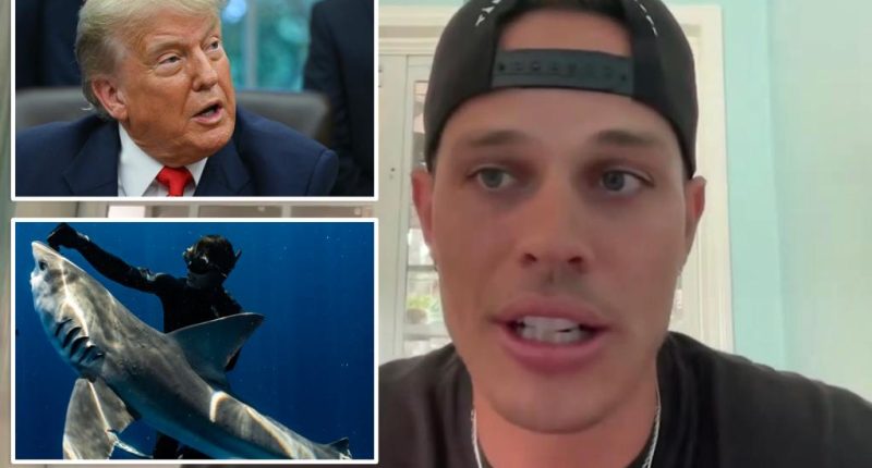 Florida-based diver Tanner Mansell was left 'speechless' after receiving surprise pardon from President Trump