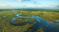 Florida building 'Alligator Alcatraz' where ICE detainees face nature's own security system