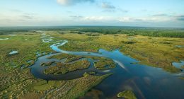 Florida building 'Alligator Alcatraz' where ICE detainees face nature's own security system