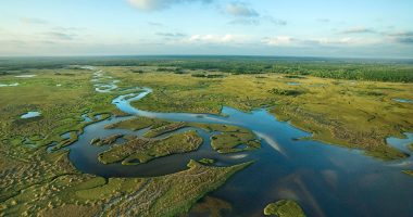 Florida building 'Alligator Alcatraz' where ICE detainees face nature's own security system