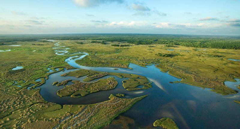 Florida building 'Alligator Alcatraz' where ICE detainees face nature's own security system