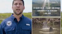 Florida offers Trump 'alligator Alcatraz' to detain illegal migrants