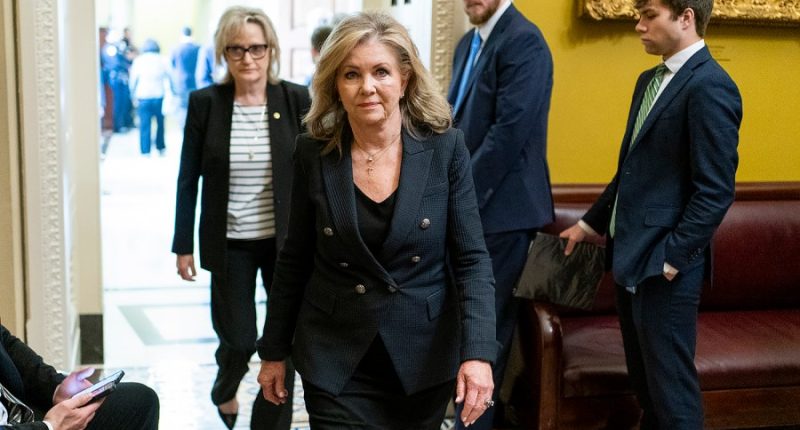 GOP senators reach deal on AI regulation ban