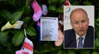 Grim excavation begins at site believed to contain remains of around 800 babies