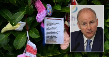 Grim excavation begins at site believed to contain remains of around 800 babies