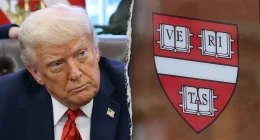 Harvard, University of Toronto make contingency plan to allow foreign students to study if barred from US