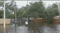 Hillsborough County requests feedback on $700 million in hurricane recovery aid