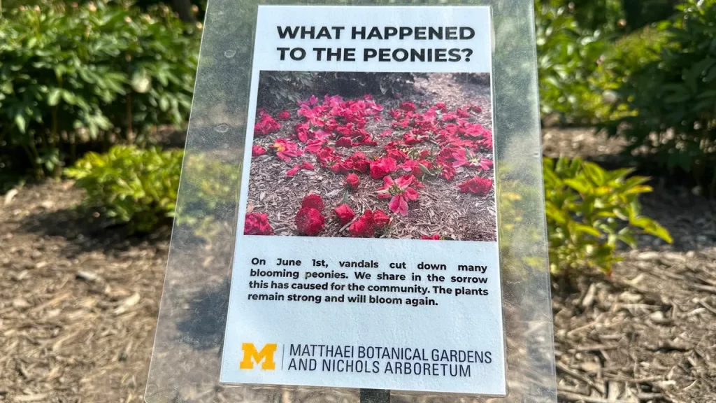 Historic university garden vandalized in apparent anti-Israel statement: 'Don't waste your tears'