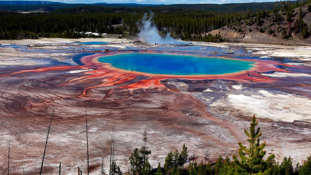 Horrified tourists watch as bison boils to death in Yellowstone hot spring