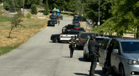 Law enforcement vehicles and officers on a road.