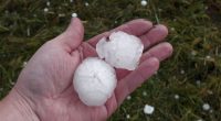 Hand holding two large hailstones after a storm.