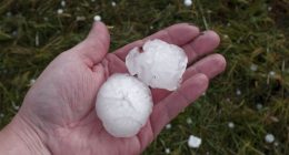 Hand holding two large hailstones after a storm.