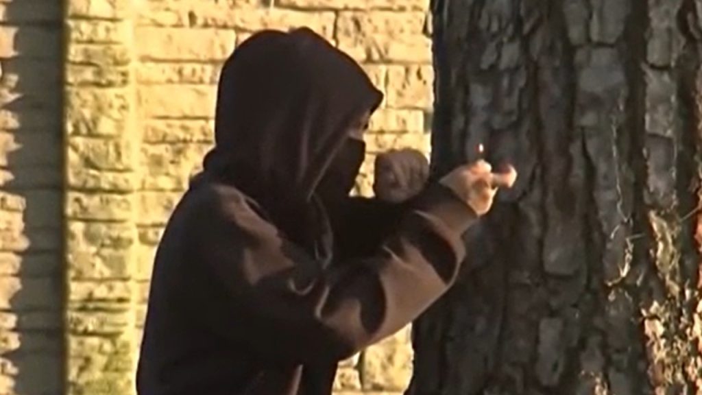 Illegal alien charged with attempted murder for throwing Molotov cocktail at officers in LA riots: DHS