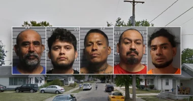 Illegal immigrant accused of peeping on girl as 4 other criminal immigrants caught living with suspect