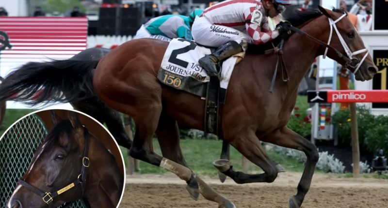 Journalism jockey Umberto Rispoli readies for Triple Crown rematch with Sovereignty