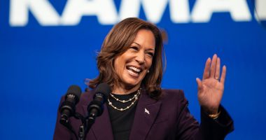 Kamala's comeback bid sparks Democrat donor meltdown