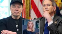 Karoline Leavitt downplays reports Musk 'body-checked' Bessent