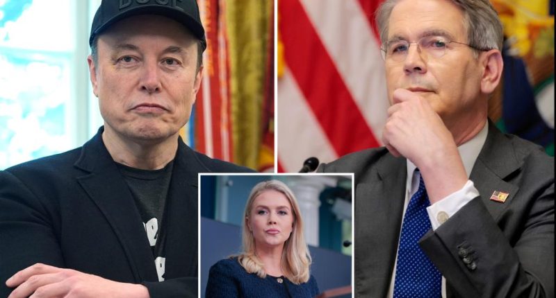 Karoline Leavitt downplays reports Musk 'body-checked' Bessent