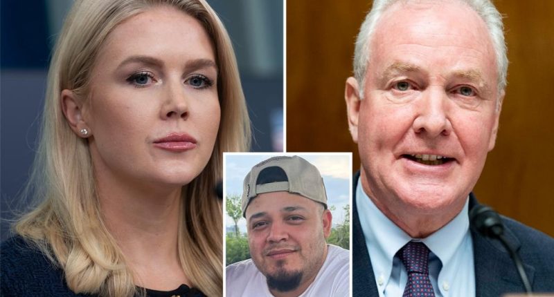 Karoline Leavitt rips Van Hollen, media for portrayal of MS-13 Kilmar Abrego Garcia