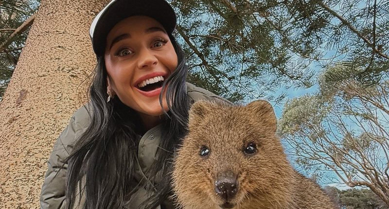 Katy Perry receives a message of support from Lauren Sanchez