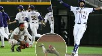 LSU clinches spot in College World Series final after Arkansas botches game