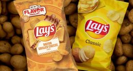 Lays introduces new chip flavor chosen from 70k submissions to contest with $1 million prize