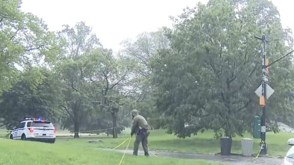 Lightning strike seriously injures teenager in Central Park