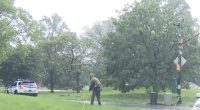 Lightning strike seriously injures teenager in Central Park