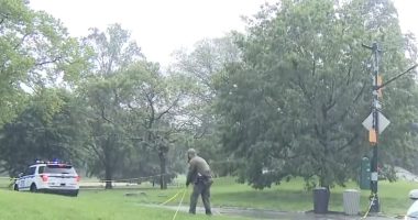 Lightning strike seriously injures teenager in Central Park