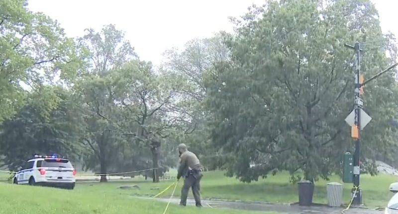 Lightning strike seriously injures teenager in Central Park