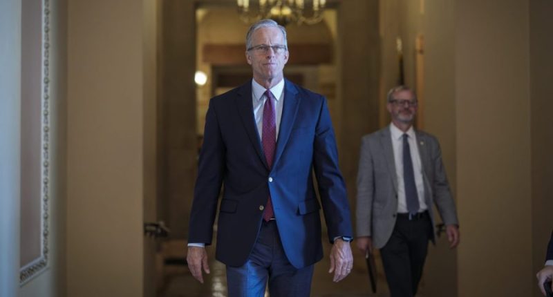 Live updates: Senate fights to the finish line on Trump's 'big, beautiful bill'