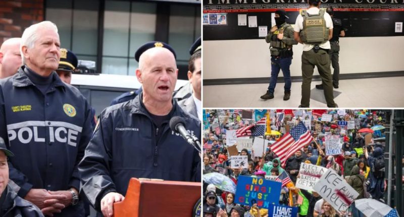 Long Island doubles down on anti-sanctuary stance, top cop pledges to work with ICE: 'They have a job to do'