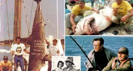 Long Island's 'monster' shark hunter legend may have inspired 'Jaws,' iconic Capt. Quint