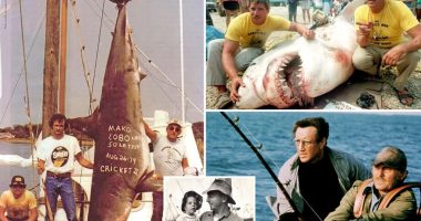 Long Island's 'monster' shark hunter legend may have inspired 'Jaws,' iconic Capt. Quint